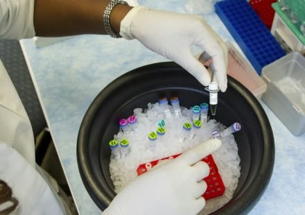 Representative image of a laboratory researcher handling medical samples