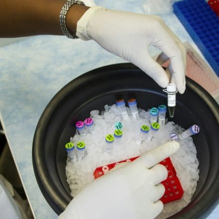 Representative image of a laboratory researcher handling medical samples