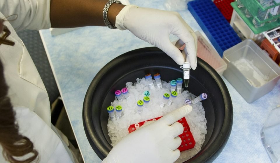 Representative image of a laboratory researcher handling medical samples
